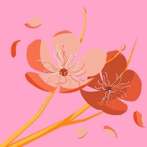 Meet your Posher, Bella